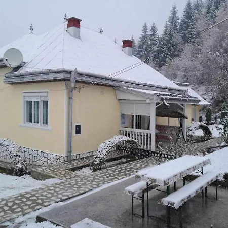 Holiday home Casa Denisa Borsa (Maramures)