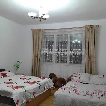 Casa Denisa *